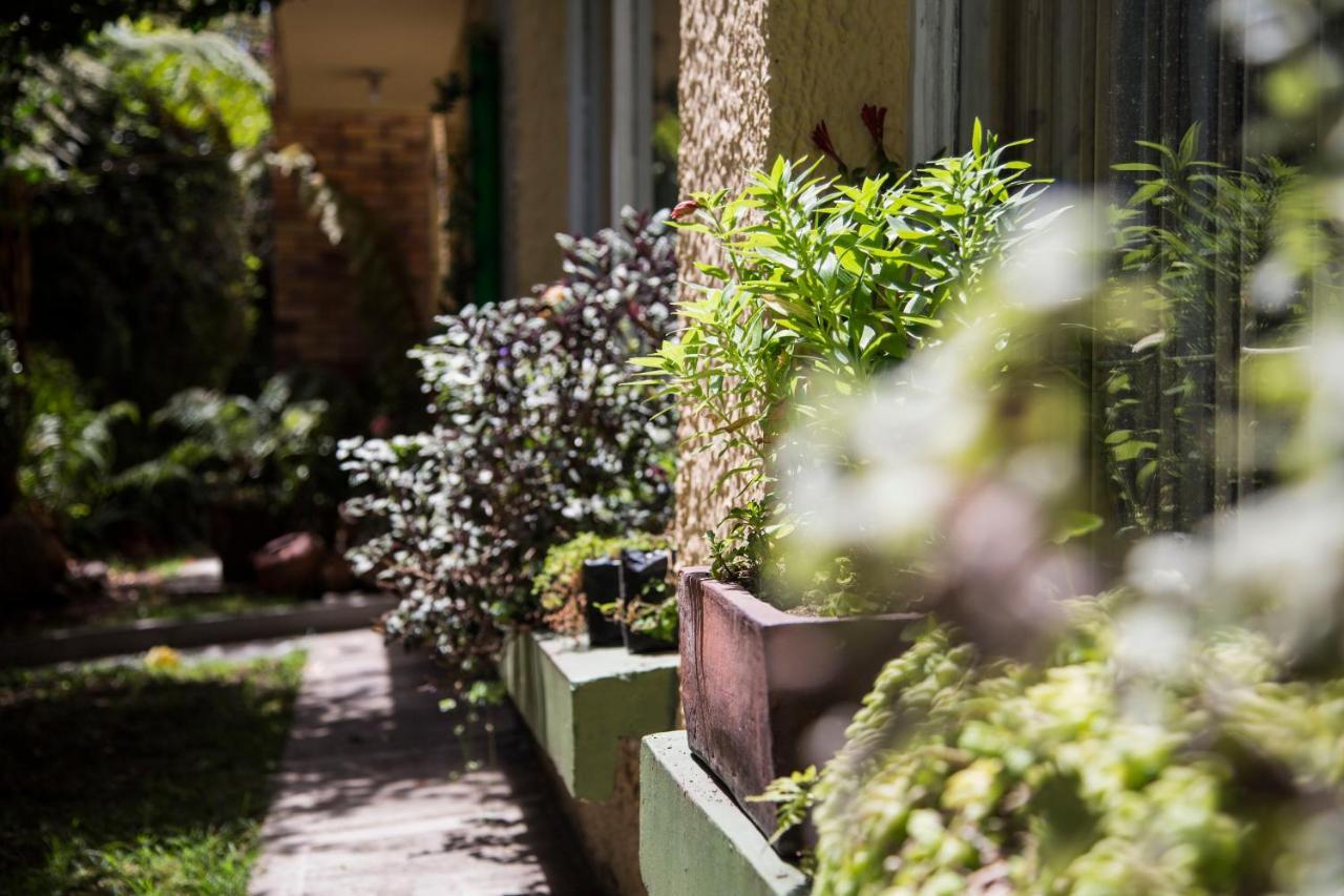 Hostal Bogota Real Eksteriør bilde